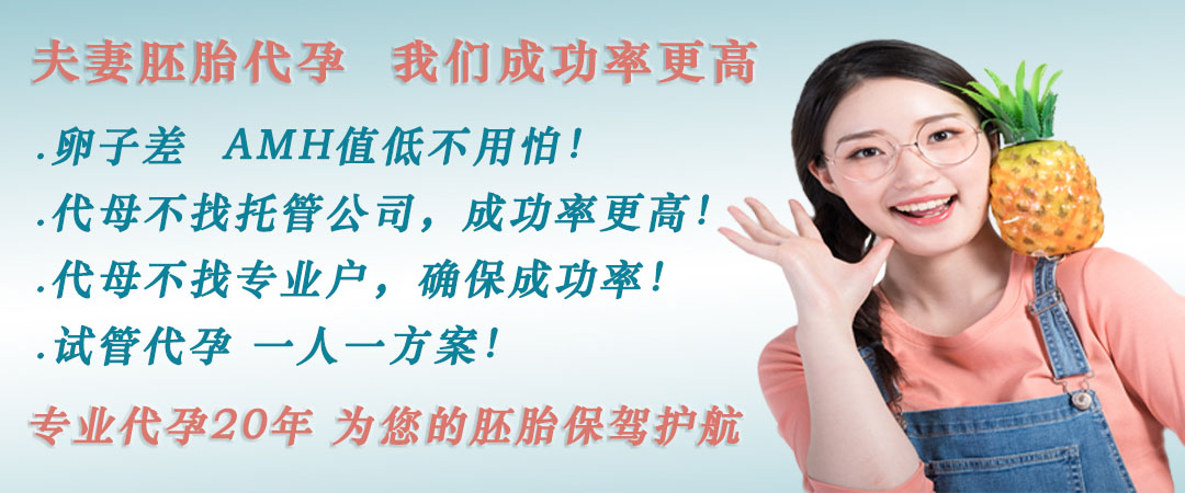 北京借卵费用.jpg